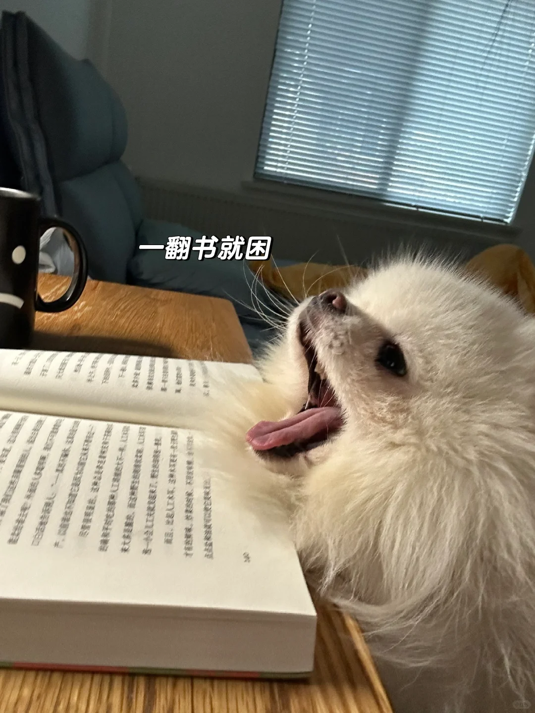 说了！俺不是读书的料