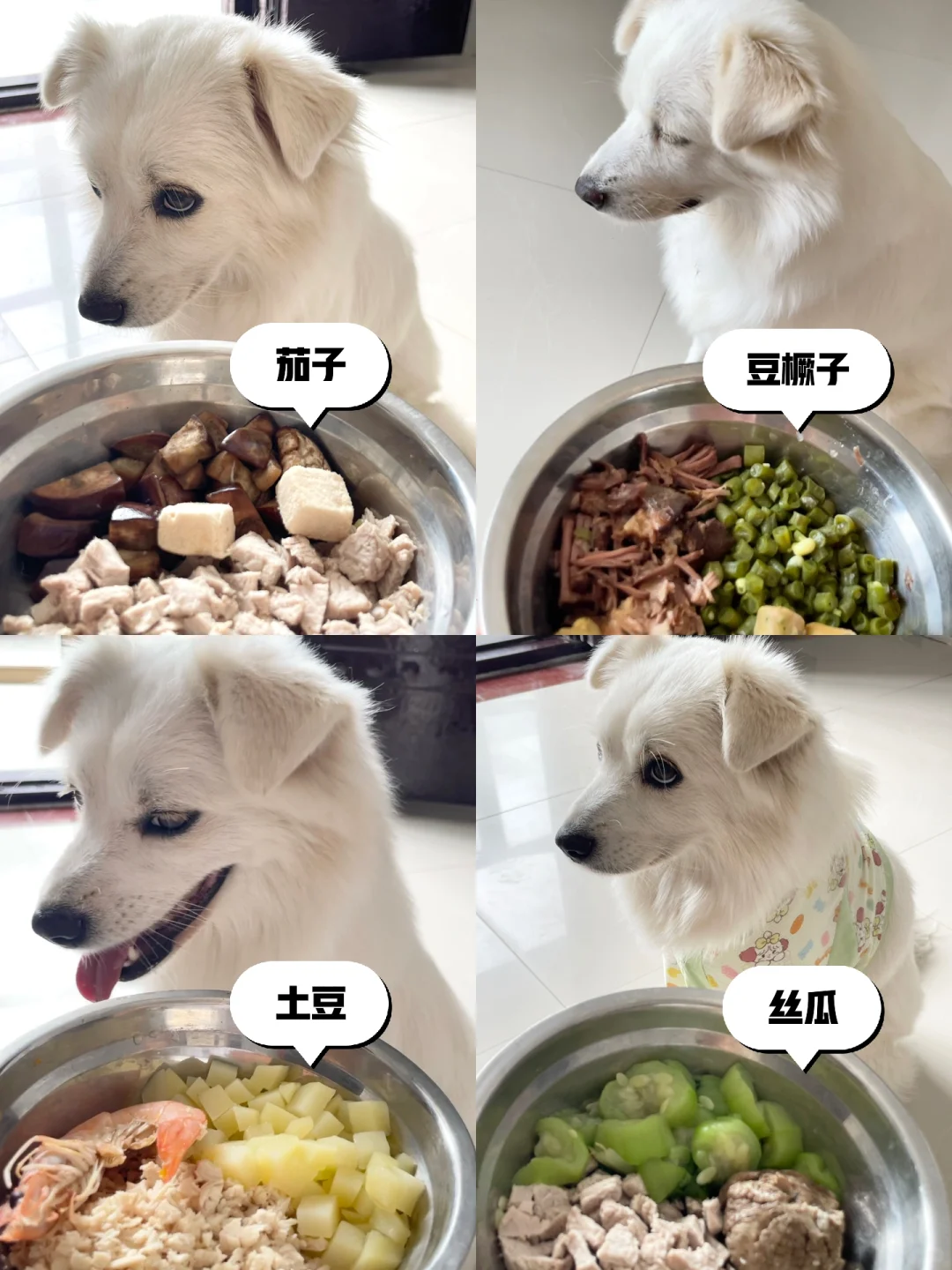 这一看就是山东的狗