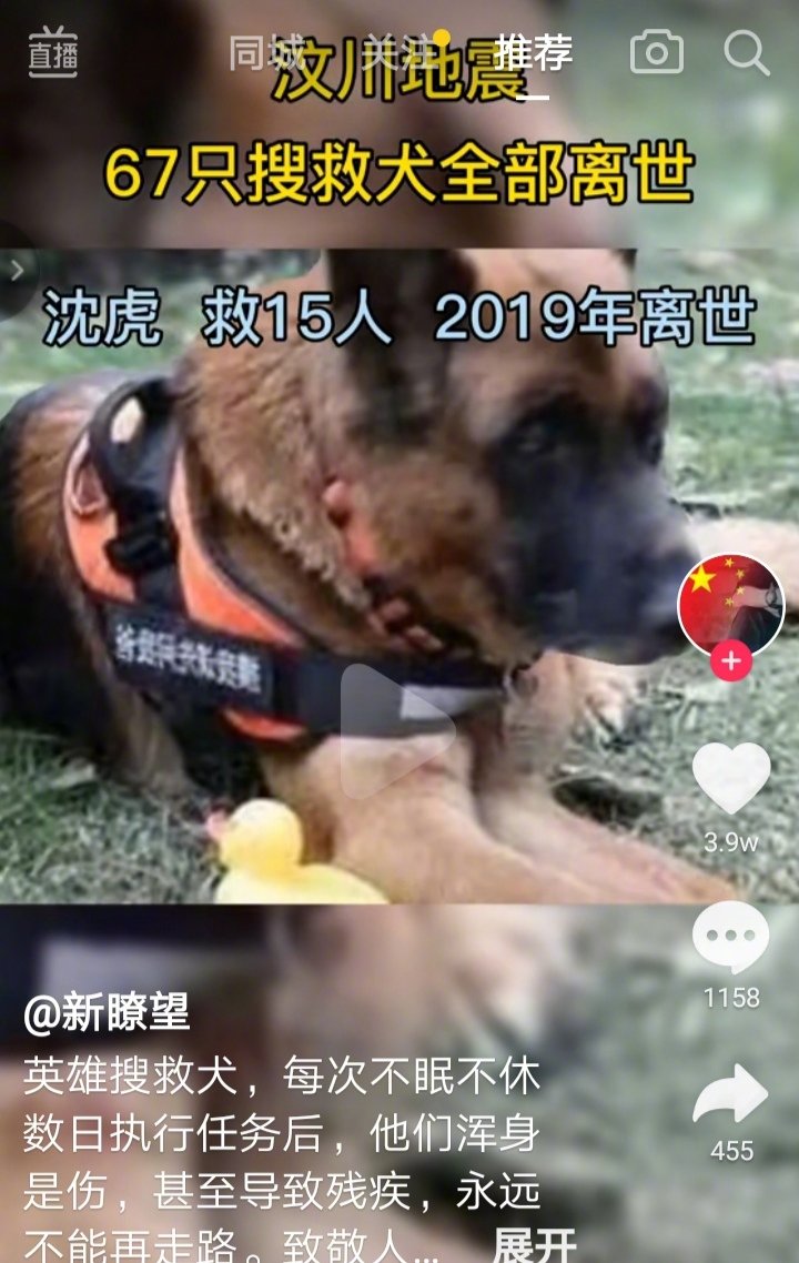 汶川地震中67只警犬已全部离世！银虎，沈虎，冰洁和它们的同伴在汶川地震中一起救出