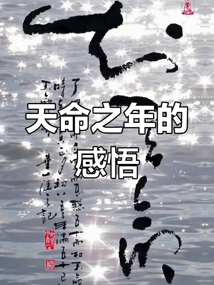 天命不可违：宝子们，凡是属于你的任何东西，你永远都不会错过的。

命运会在某一天