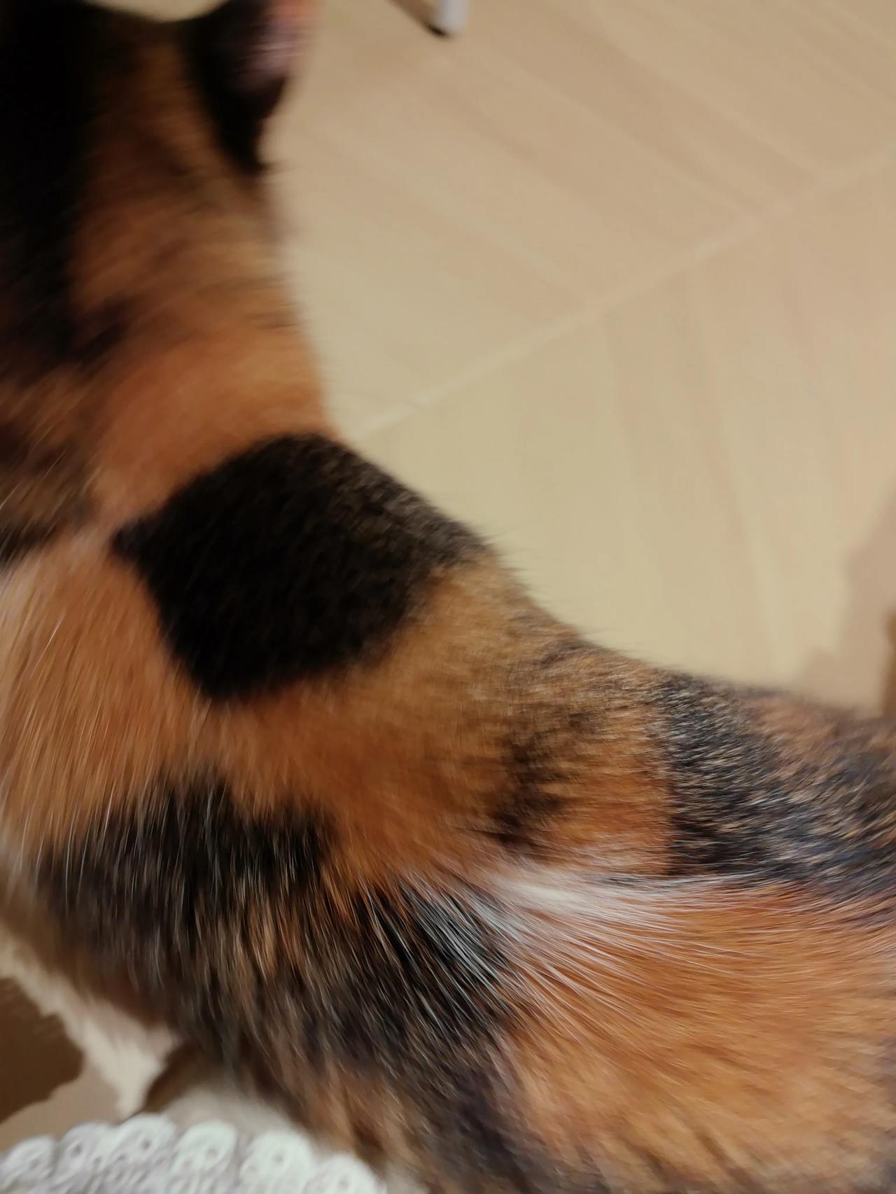 A股是否还有未来可期