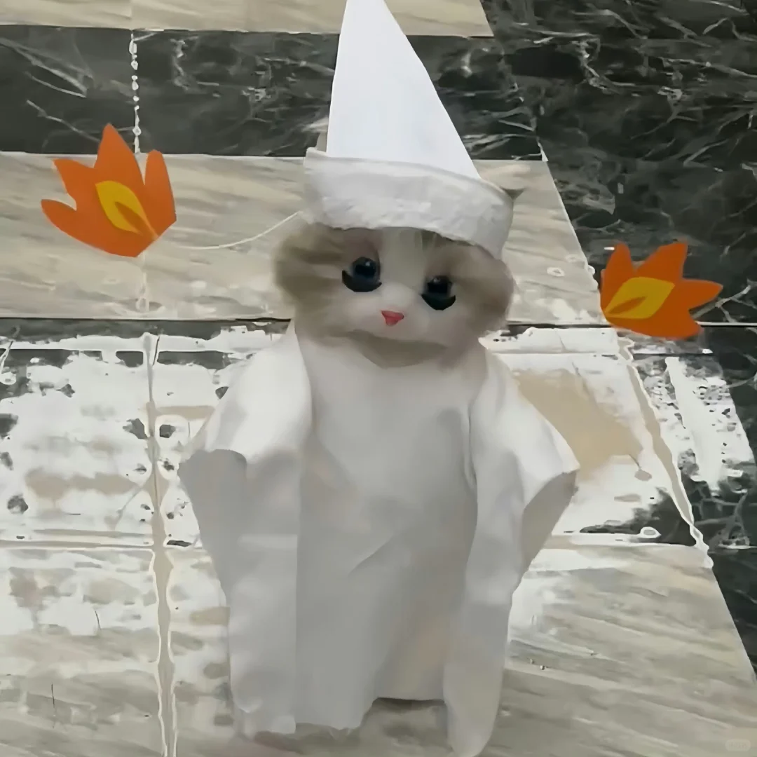 变装小猫₊⁺ʚ=･ ֊ ･=ɞ‧₊˚