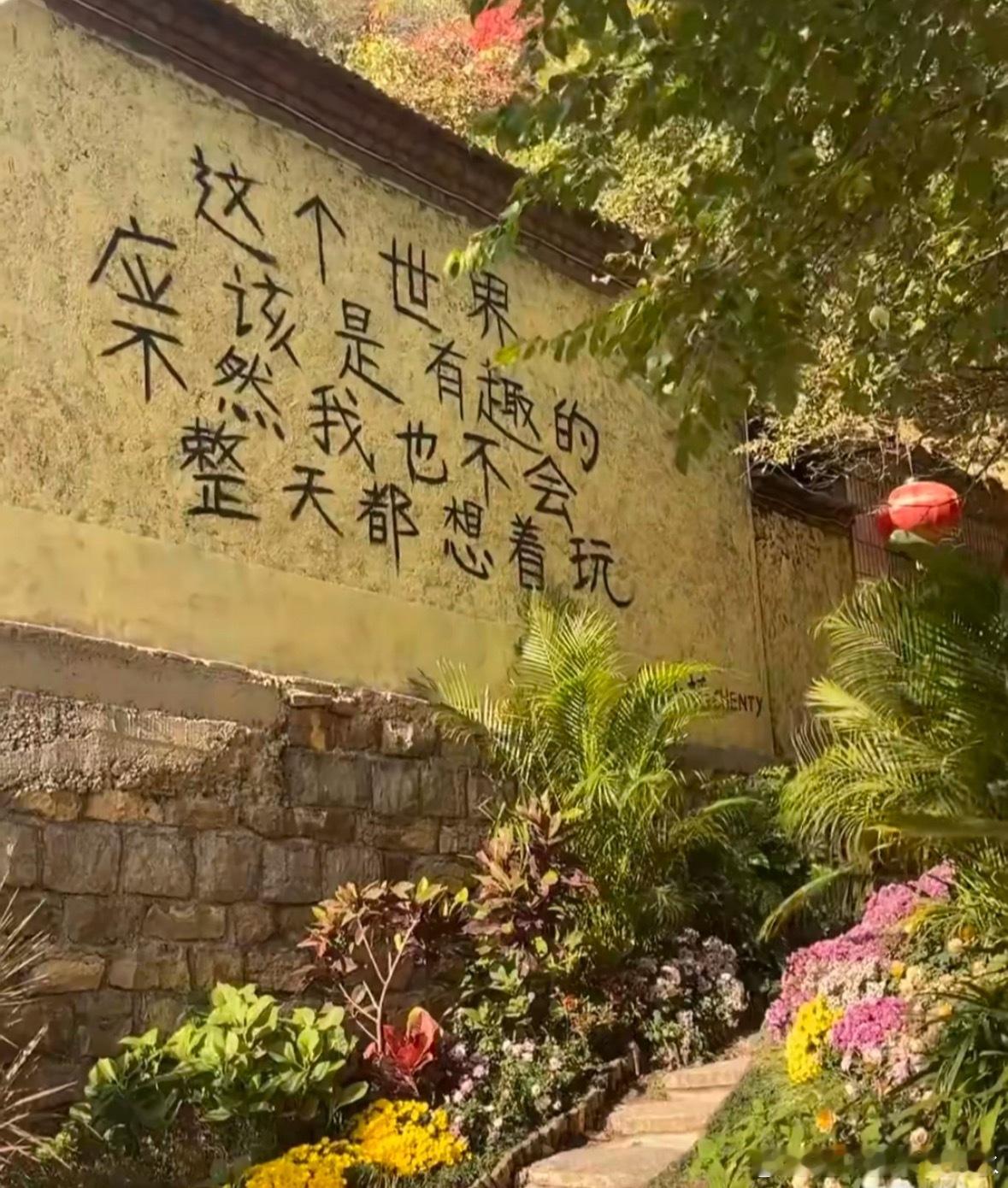 每到周日下午，都会想起我的扣扣签名✍️，读万卷书，行万里路，吃天下最 