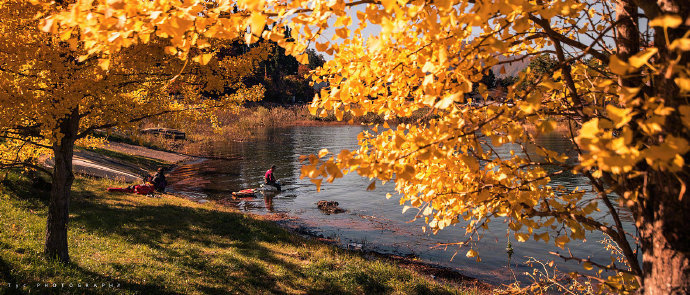 一个痛苦过去了，一个喜悦就会重生。｜加缪 我的私人宝藏书单 书评