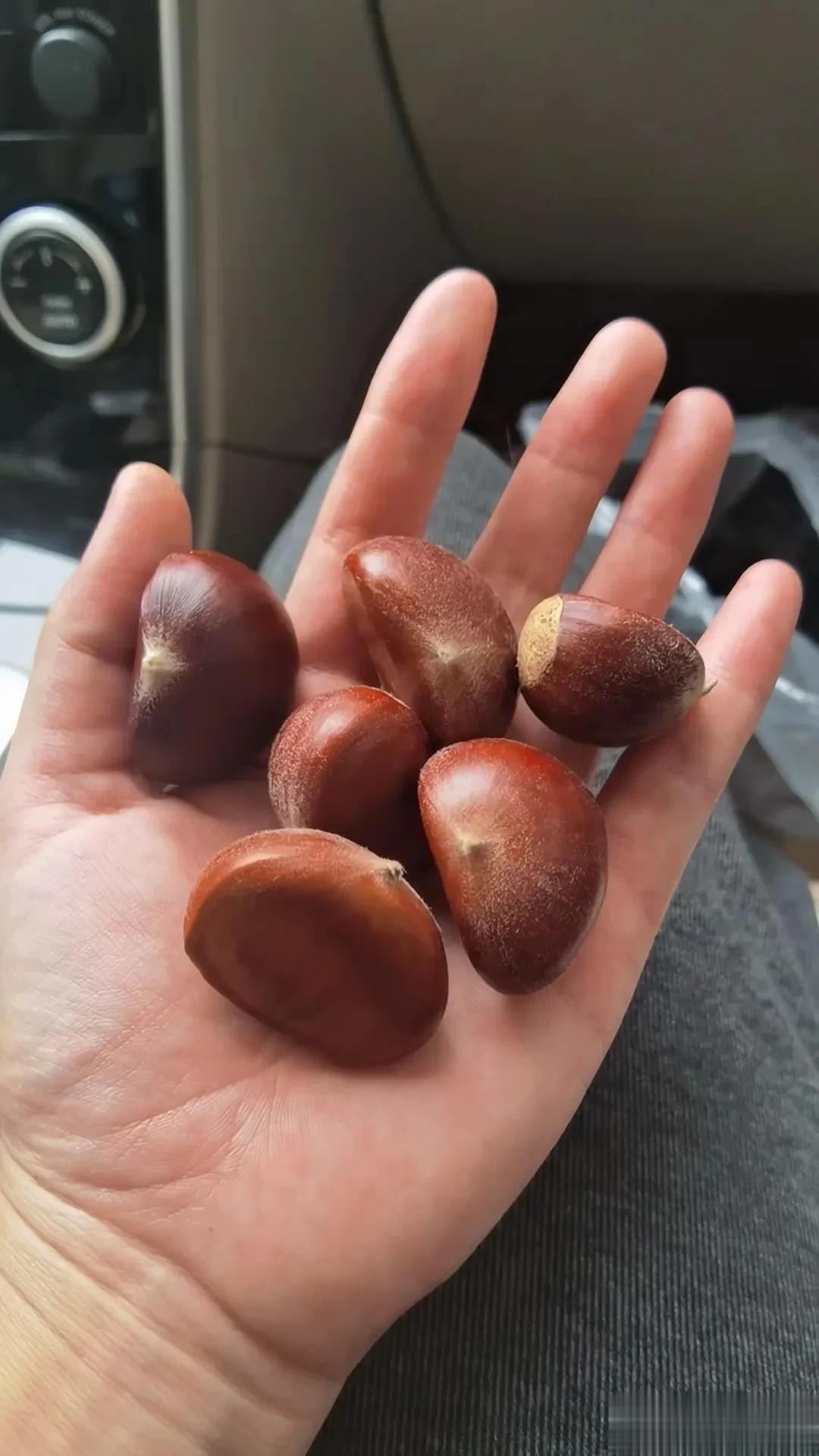 #你会过圣诞节吗#不会，因为没那个闲心，再说体力财力都不允许！