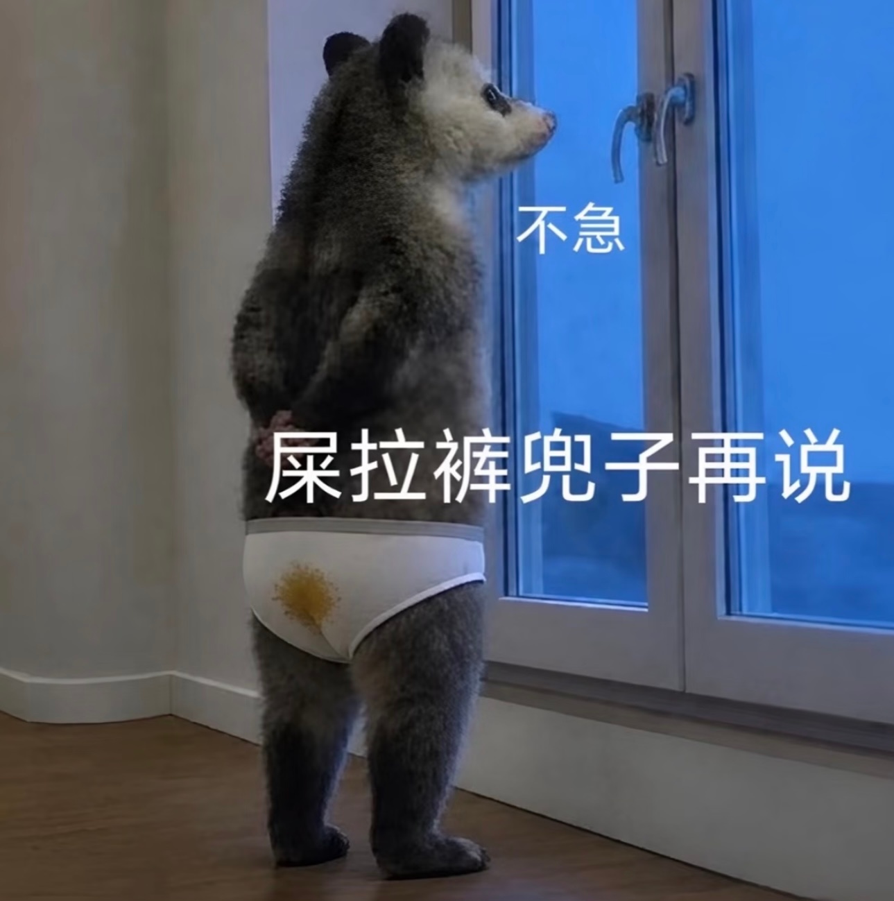 和光目前的状态