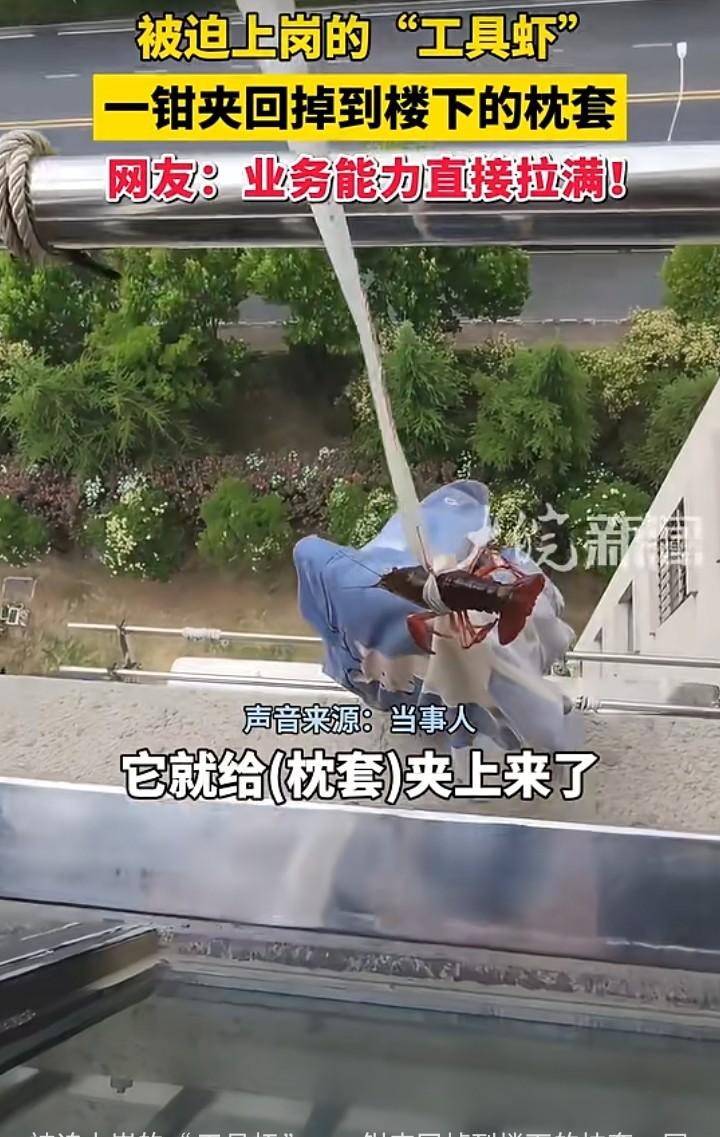 这“工具虾”的极限操作简直逆天啦！在杭州一个小区里，业主王女士在阳台洗衣时，枕套