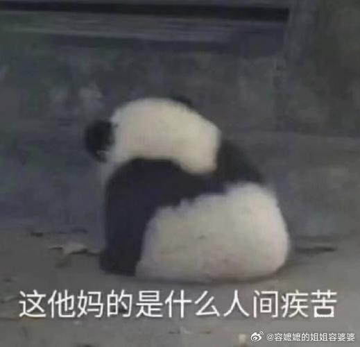 辛苦考上幼师后幼儿园却没了前几天和一个教育专业，转行做汽车销售的女孩聊天，她说，