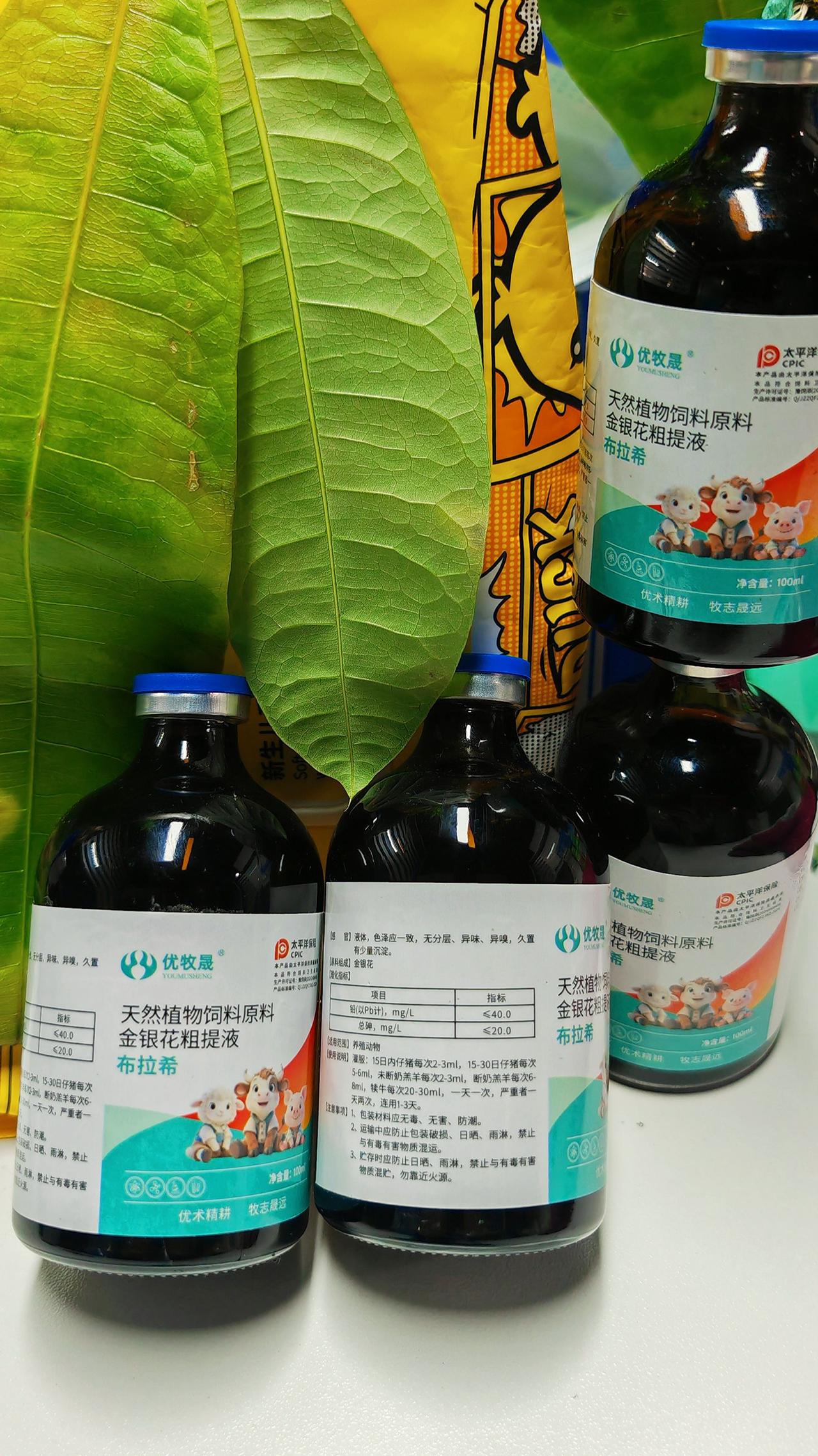 养羊人 农村养羊 牛羊养殖