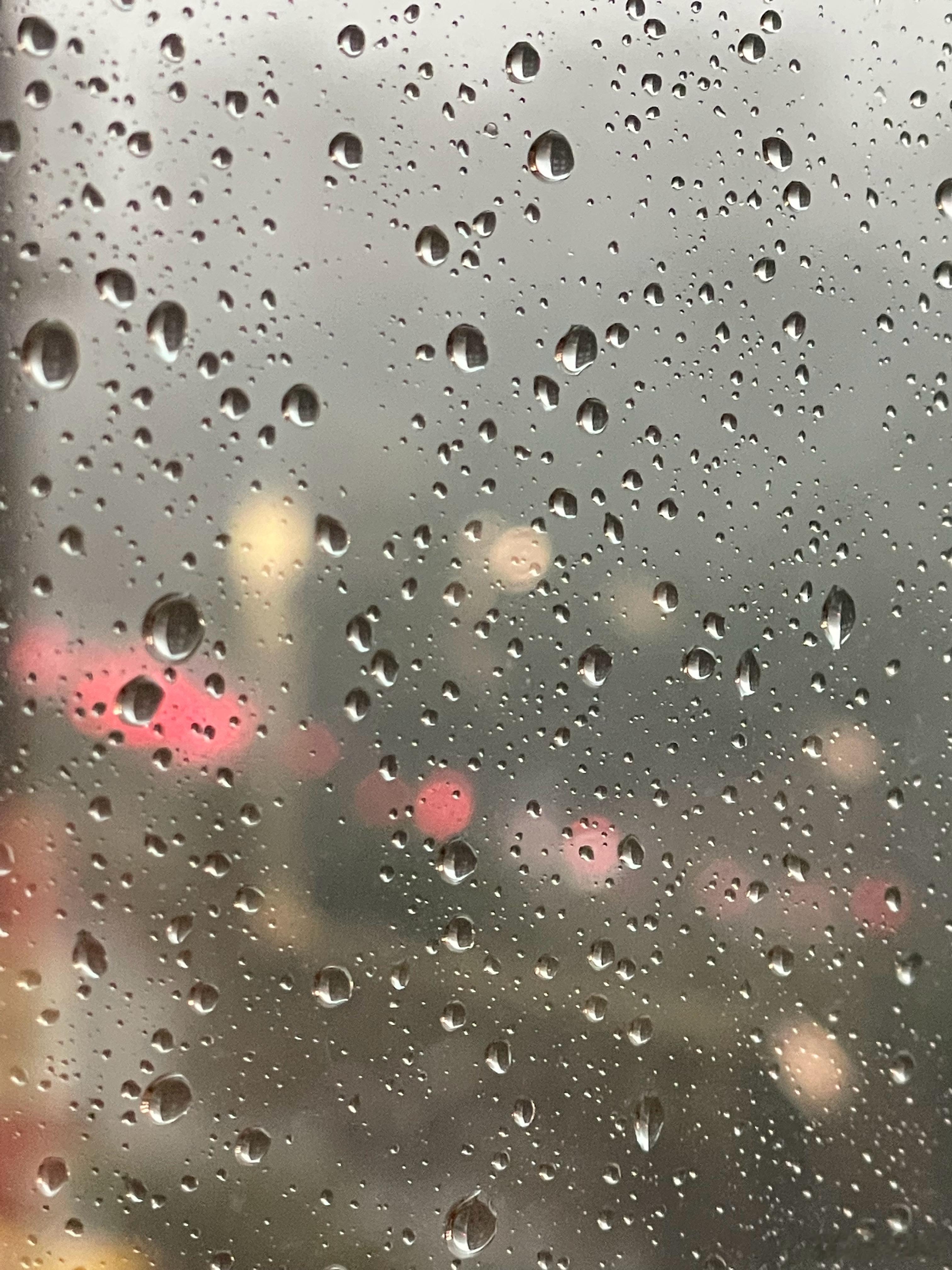 此刻雨路灯火明灭。 