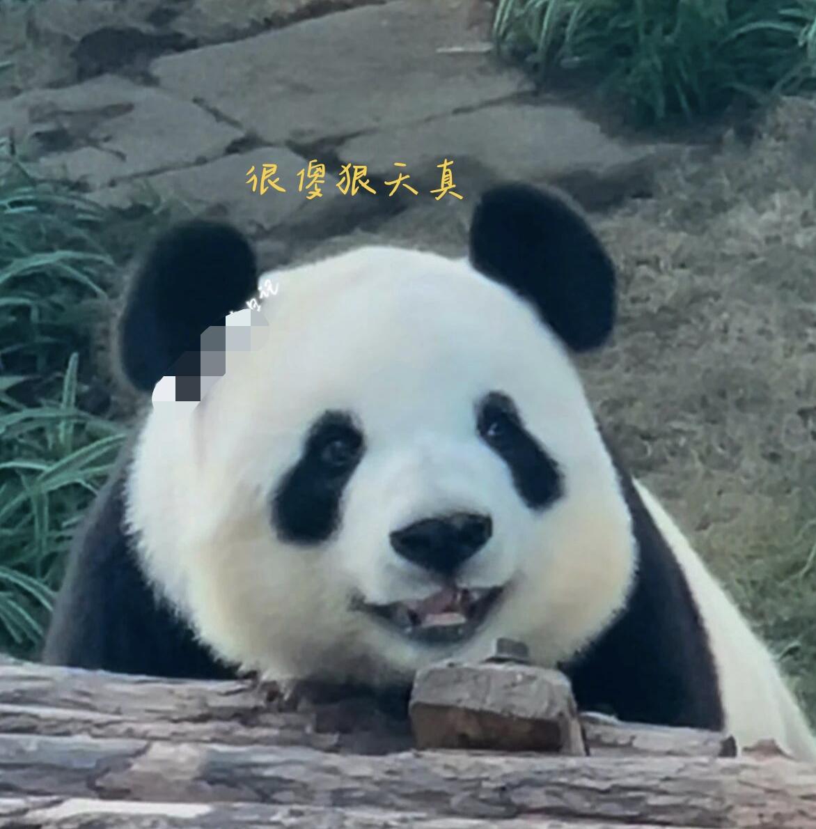 即将小升初,没准备咋办?
广州小升初，你想准备什么？
准备择校？然而大部分公办都