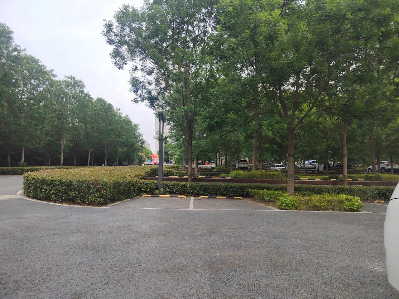 五月四日，晴，今天室外天气29度，温度适宜。
  这几天不知道咋了，莫名的孤单，