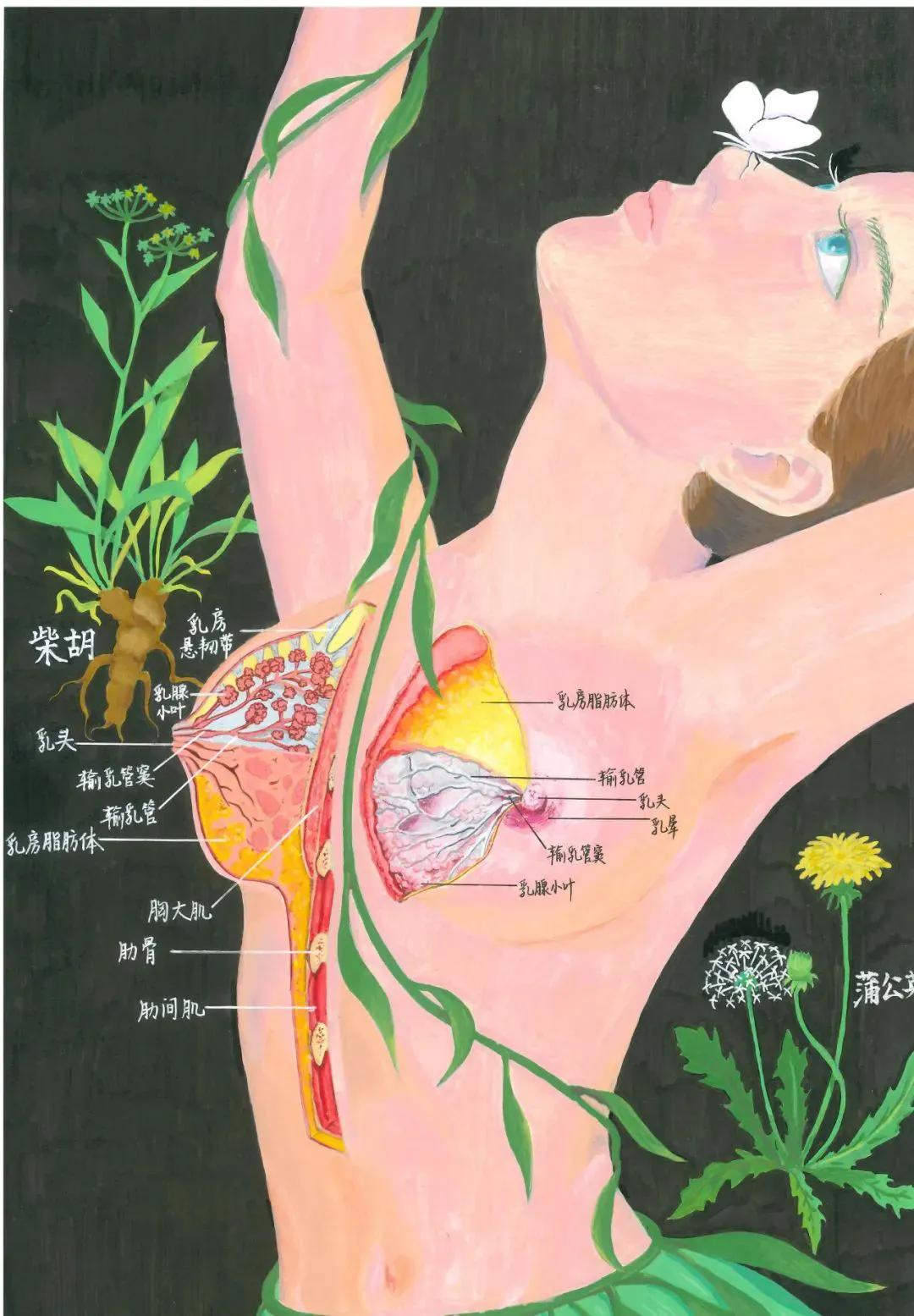 看似人体艺术实则解剖科学，你欣赏艺术多一点还是科学多一点，取决于用身体的上面还是