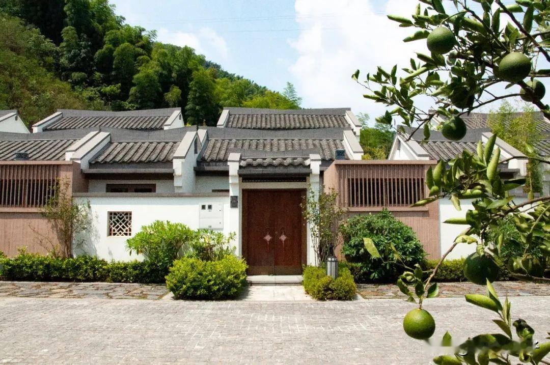 第50场线下主题报告会
▽
中国房地产的底层逻辑——土地财政

你以为买房子值钱