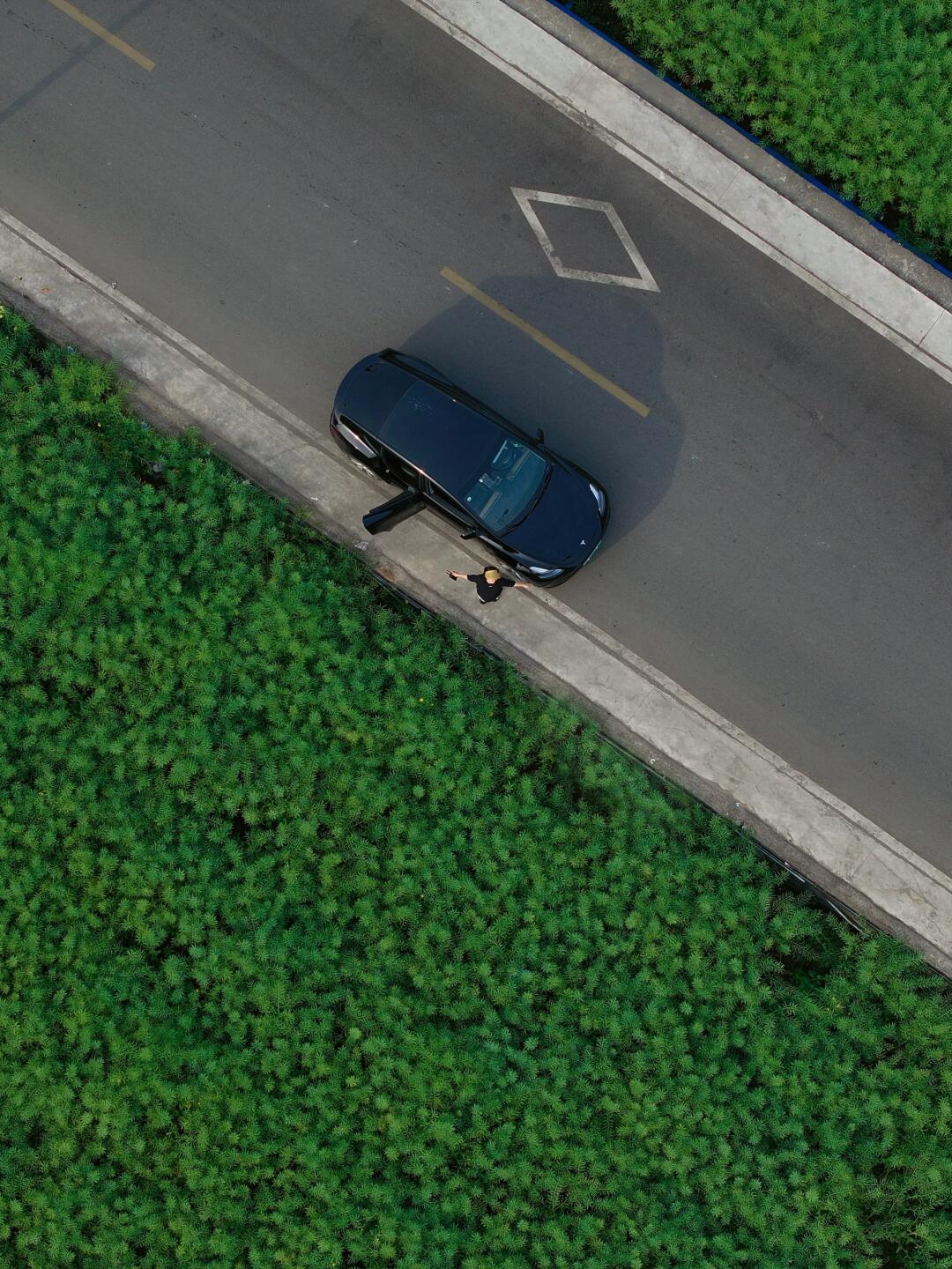 在乐清踏青季 | 出行安全也很重要呦～