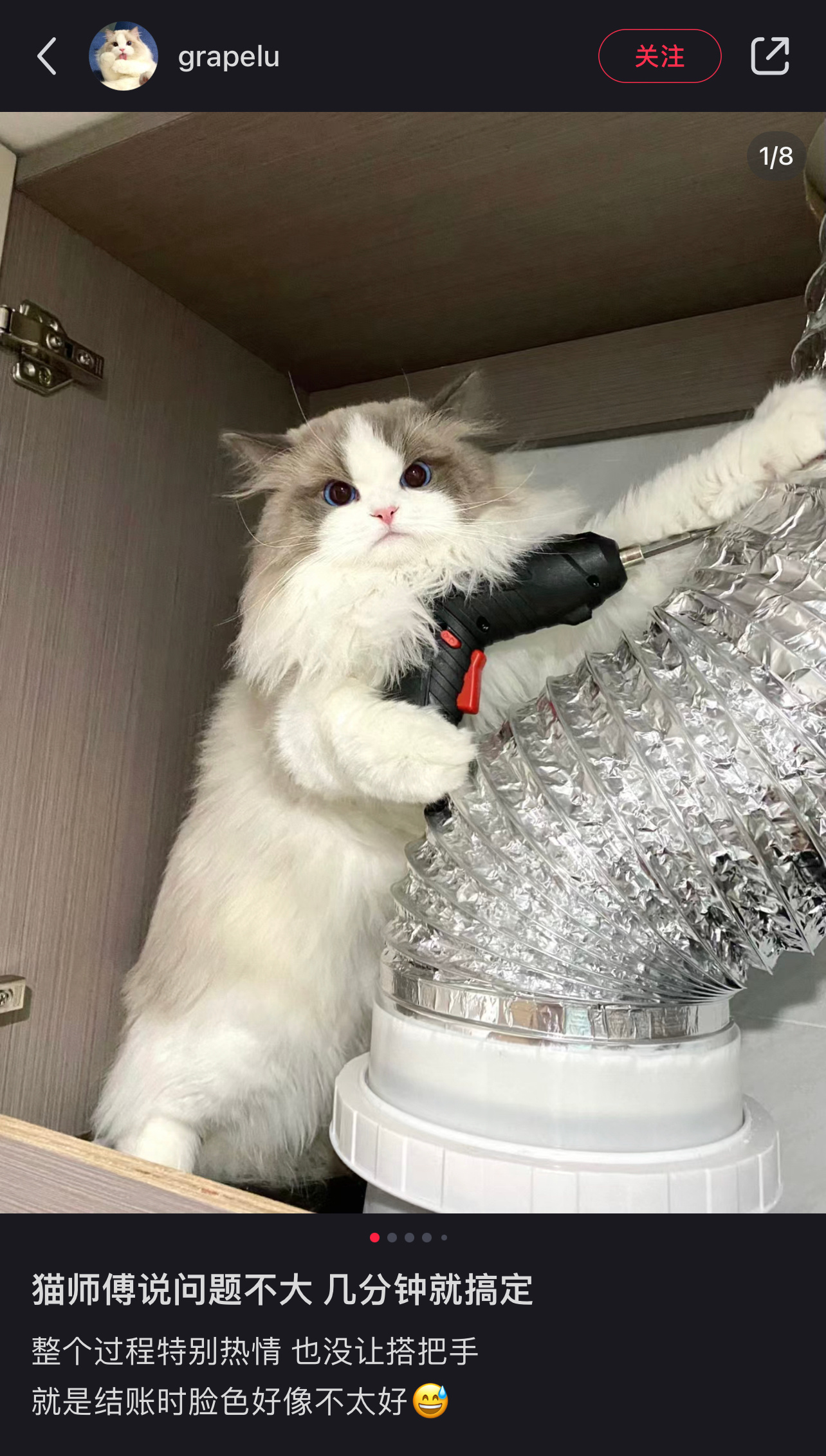 猫师傅修的很快，问你还需要什么帮助 ​​​