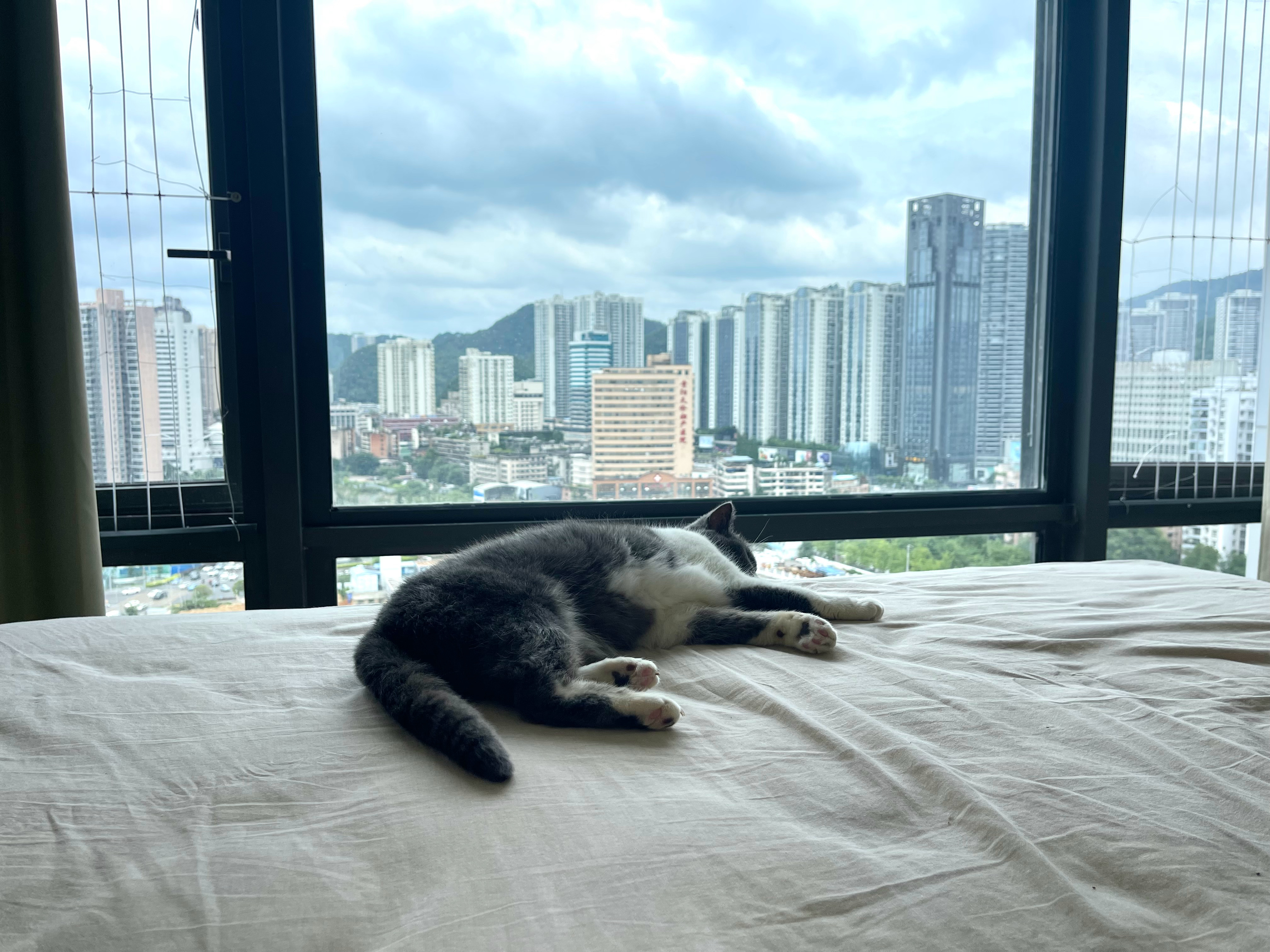 谁不想急头白脸的躺一天 