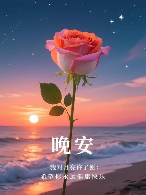 晚安 夜晚再漫长，也会有星光相伴。人生路上难免起落彷徨，不妨卸下一身疲惫，揣着温