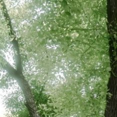 阳光信用[超话] 🍃阳光信用🍃每日一善生活的天空不可能永远清澈透明，有风雨也