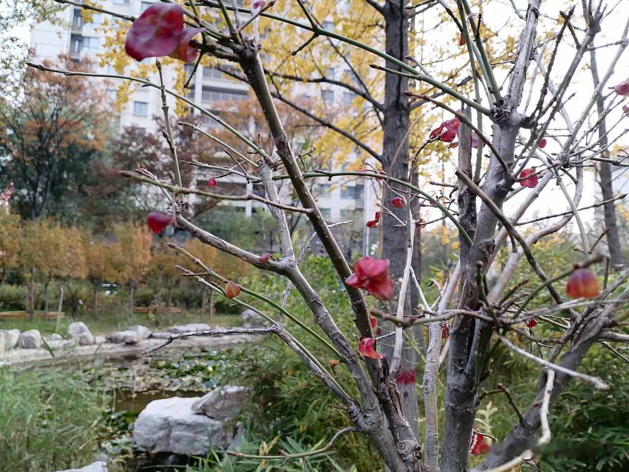 正义会迟到
但是绝不会缺席
青岛3.28强奸案再审
尘封29年的真相能否揭开
1