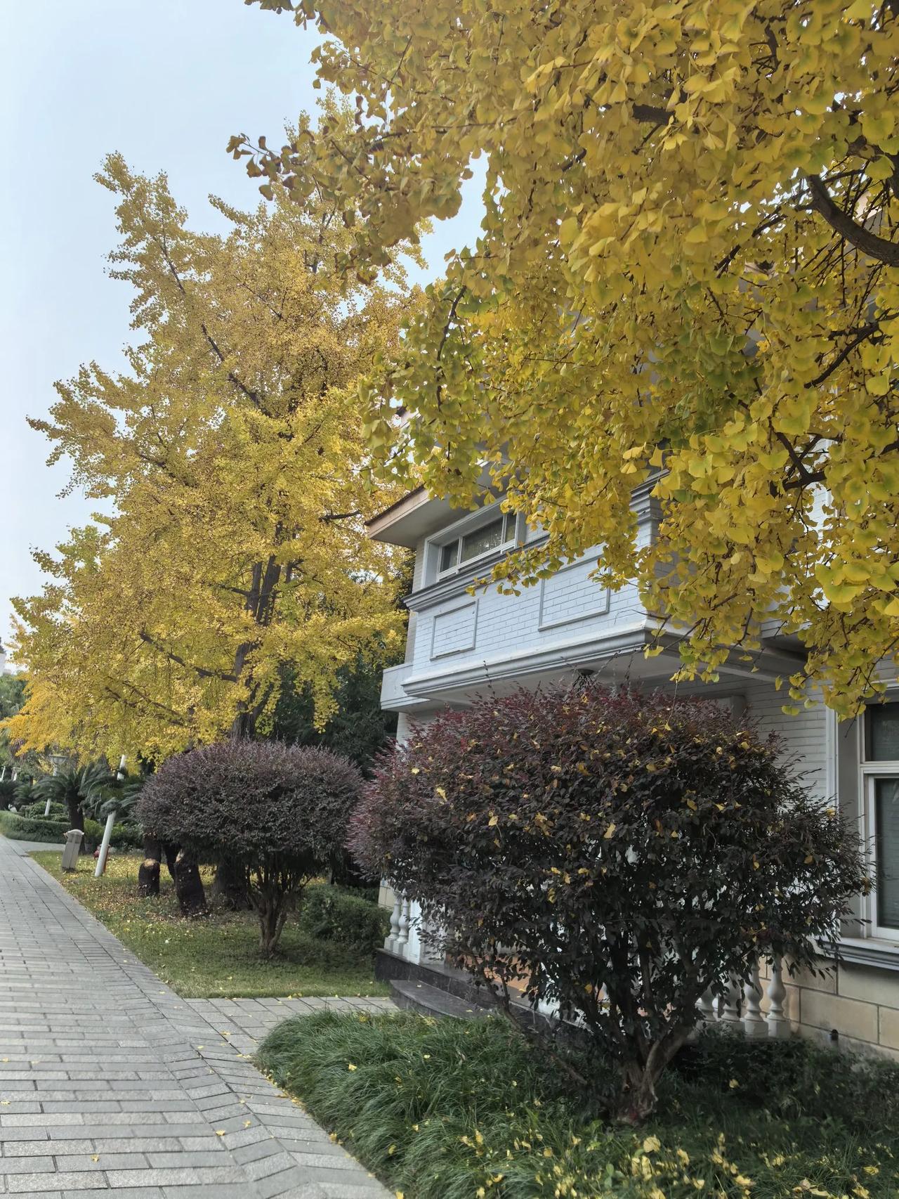 上周把家里的三口锅换了，包括小奶锅、炒锅和空气炸锅，娃回家了可以做他喜欢吃的饭菜