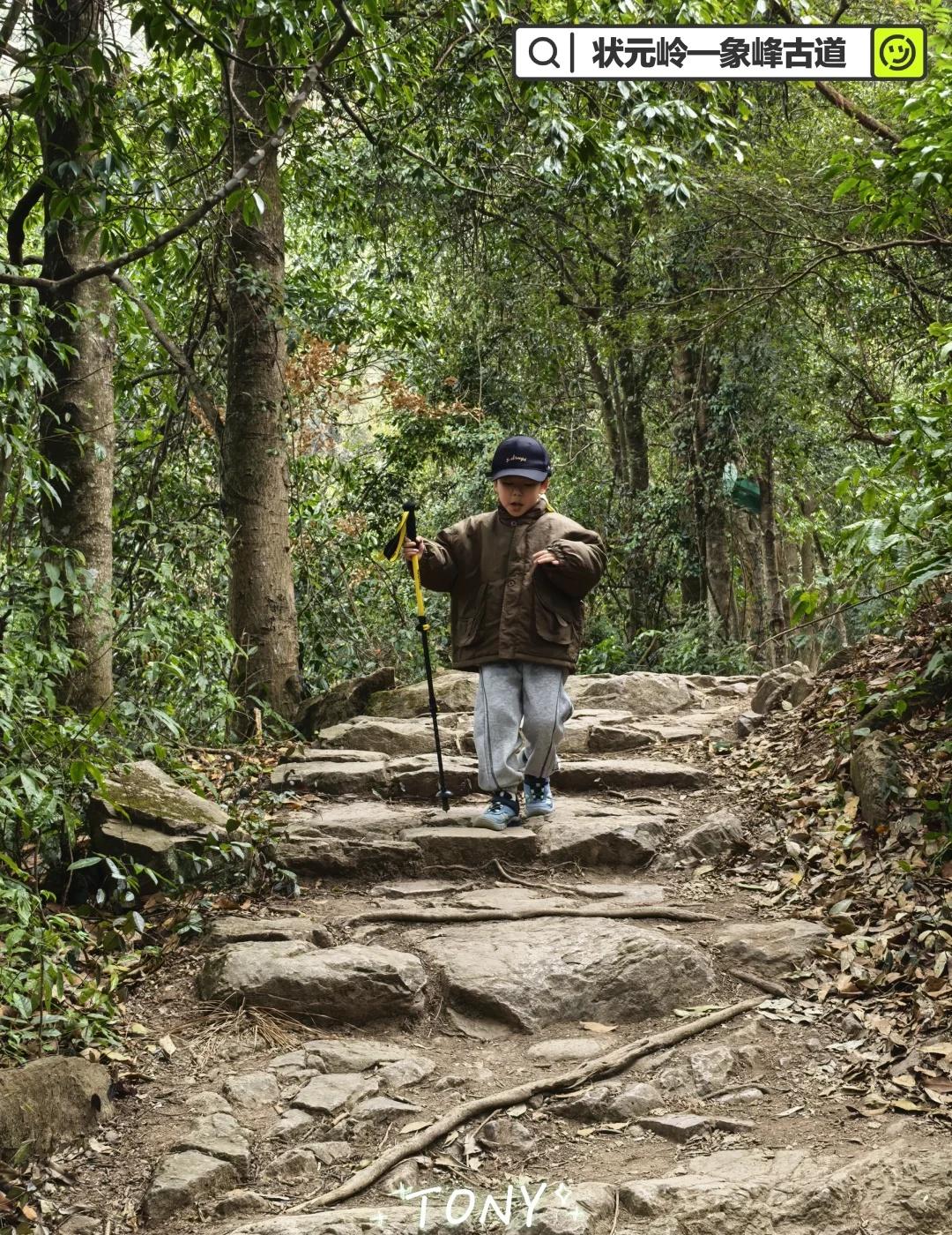 每周一山丨状元岭象峰古道小圈越徒步攻略
新年第一天爬状元岭，希望2026年能有个