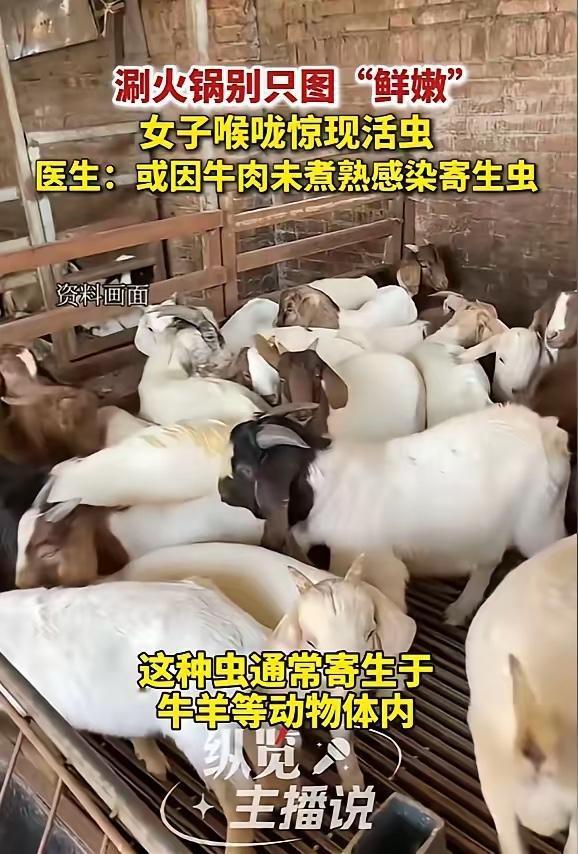“太吓人了！”近日，湖北襄阳，一女子吃火锅时，觉得牛肉煮太久了不新鲜，于是在锅内