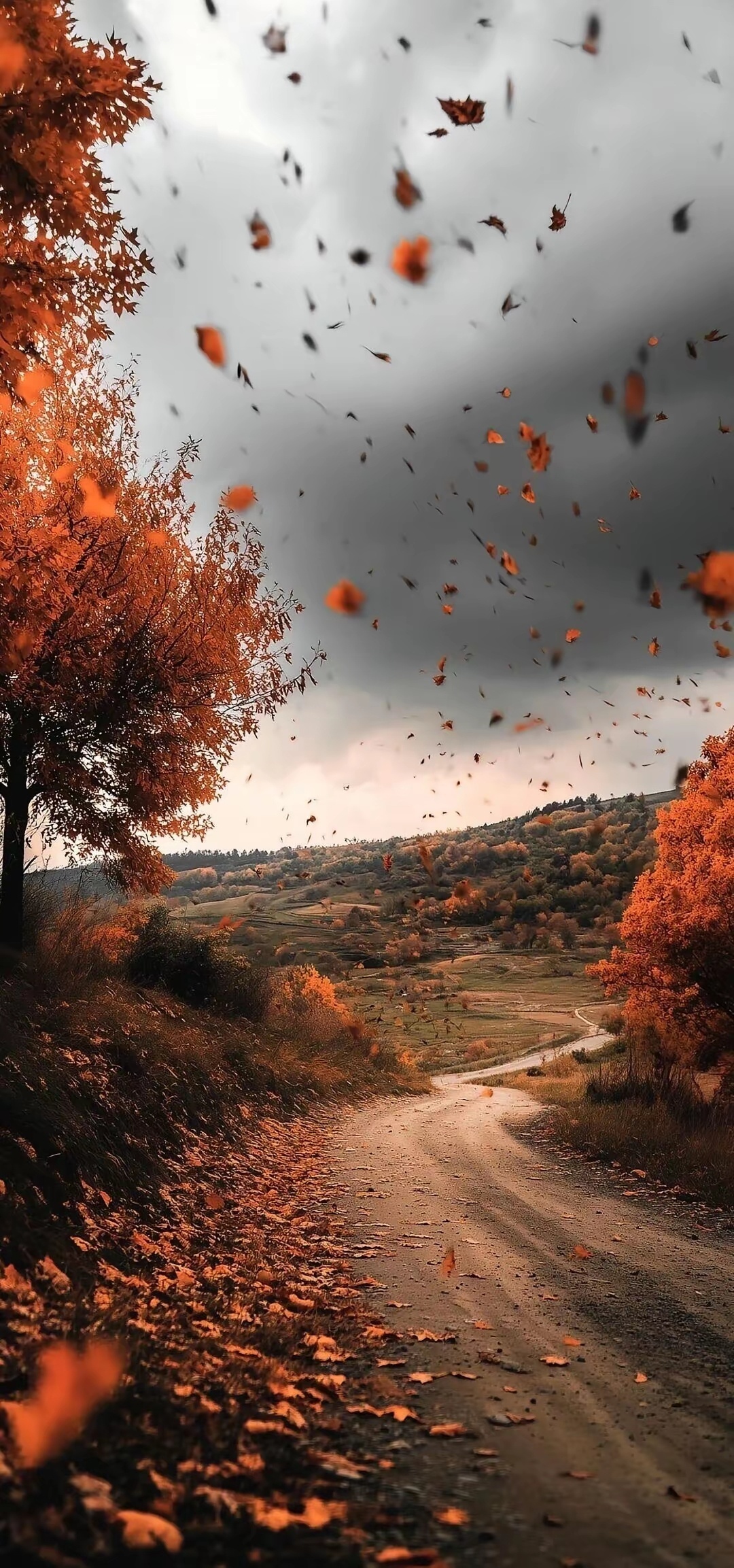 人这一生朋友并不是越多越好，而是越真越好，落叶知秋，落难之友，真正的朋友经得住人