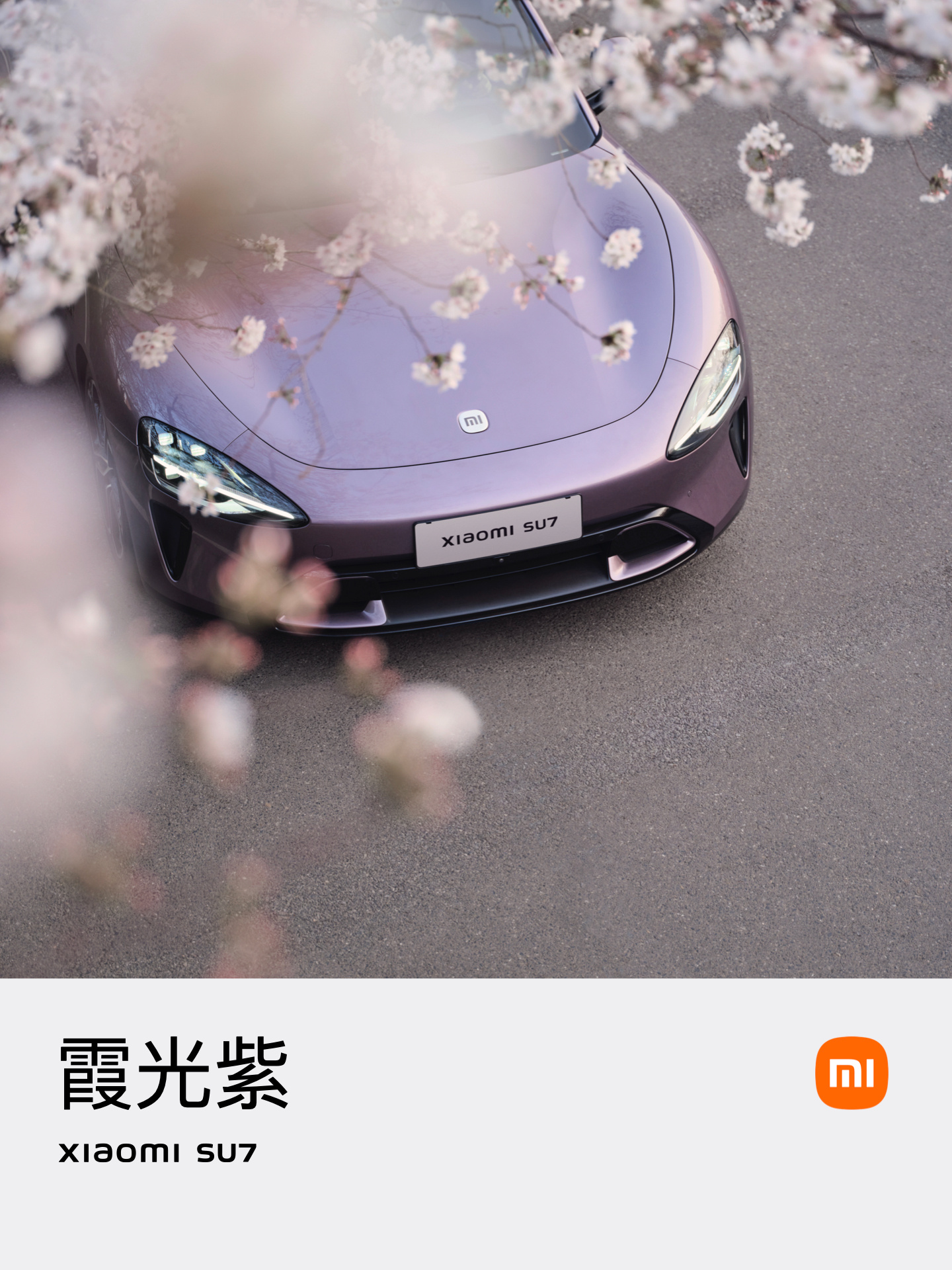 #小米SU7#霞光紫，一度有点犹豫的这个颜色，媳妇说流光紫不错，毕竟今年是九紫离