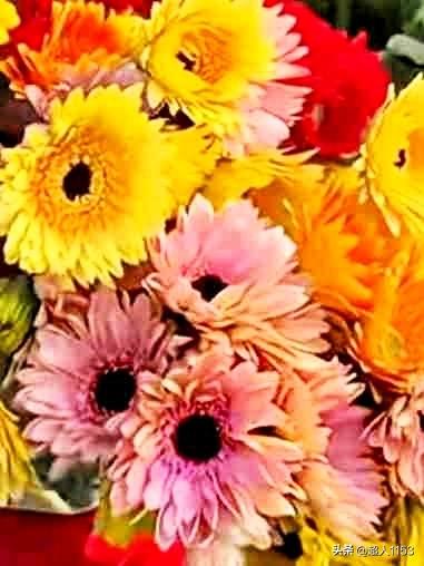 我的今日状态：😁轻松愉快
我这里的天气：☀️晴天
   
二月初一春来早，
二