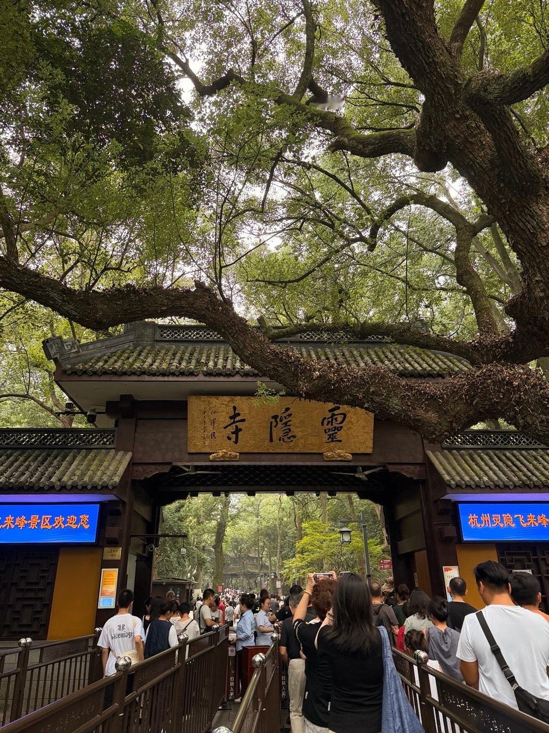 像大人一样工作 像小孩一样生活  ​​​