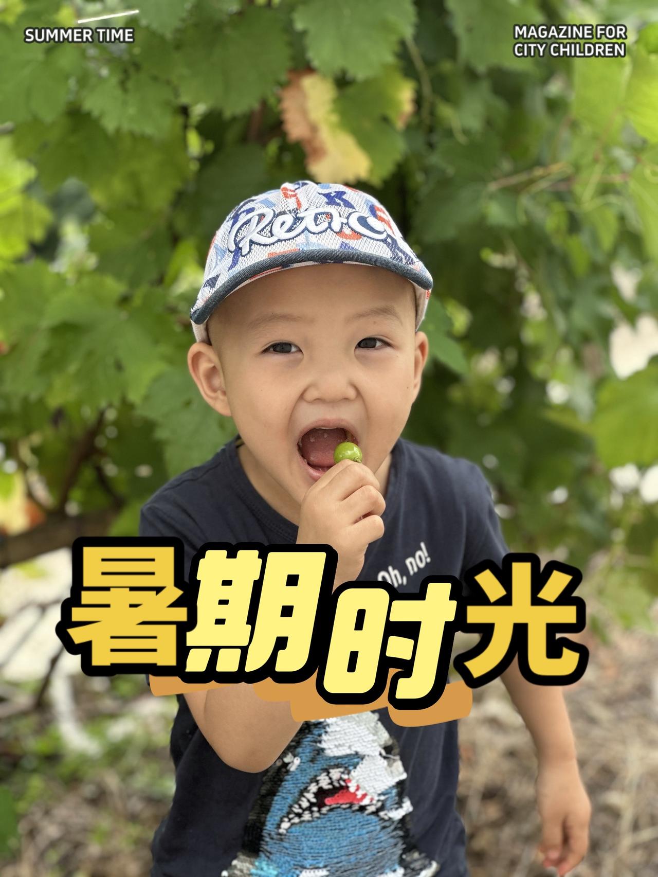 希望你像风一样自由人类幼崽