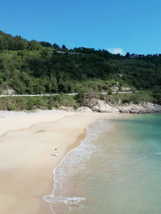 迄今为止，我最喜欢的江浙沪海岛出现了‼️