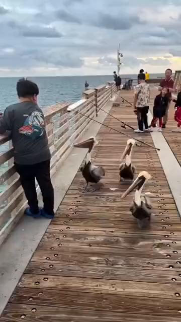 这波操作都看傻了。