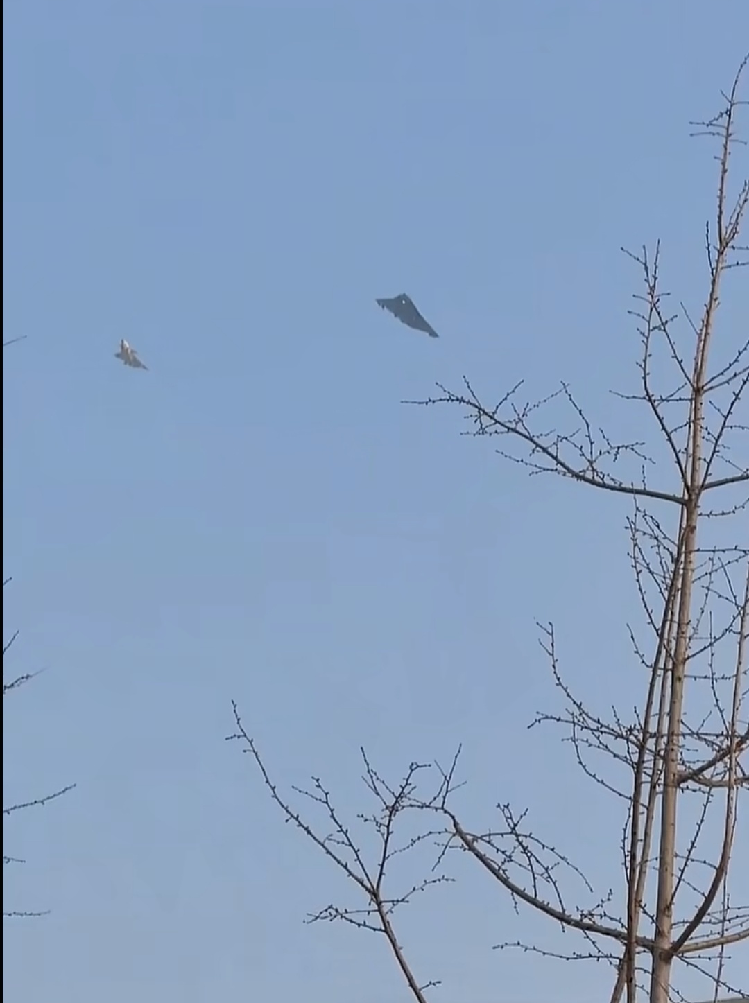 时间真快！一周年了 