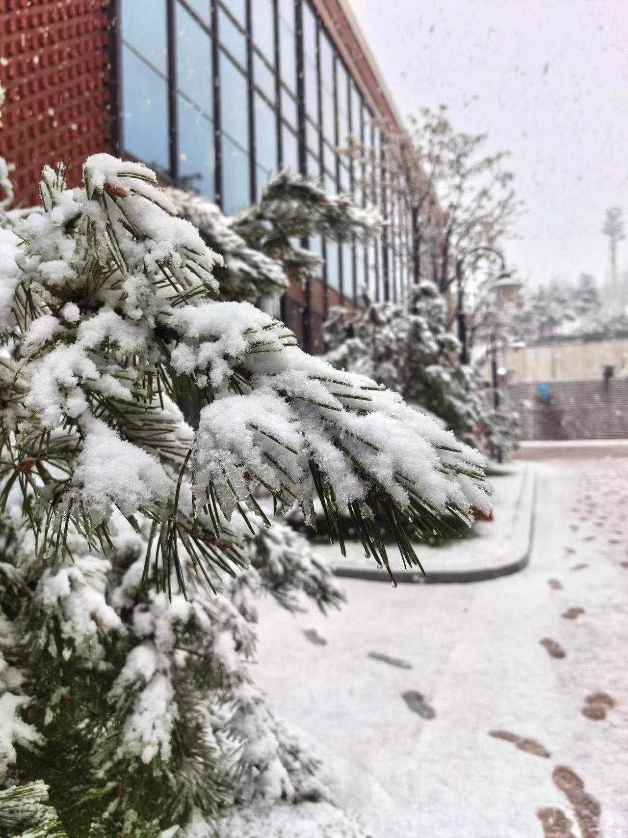四月本应春暖花开，可甘肃、陕西等地却大雪纷飞，这倒春寒来得太猛了！今年春天不一般