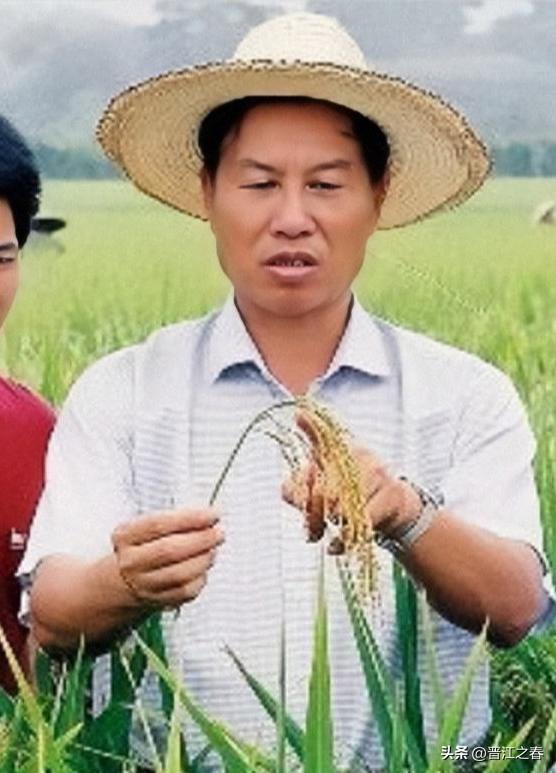 晋江籍名人录(141)一一杨仁崔杨仁崔，1943年出生，福建省晋江市东石镇人，福