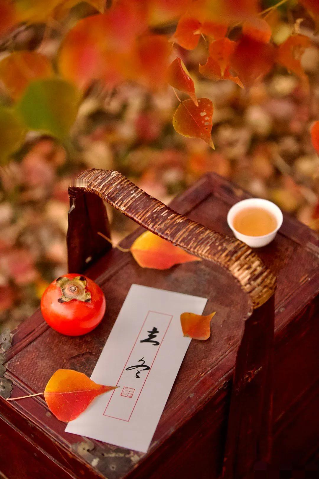 草木斑斓染，新冬煮茶香。
