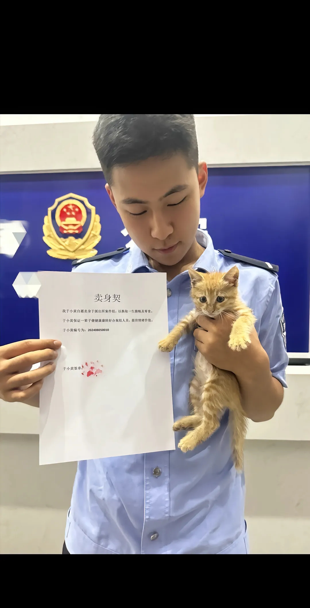 小猫在公安局签下卖身契 ​​​