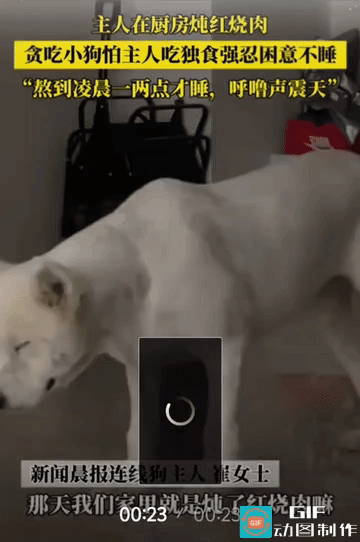 谁还不是个馋宝宝！
怎么解释都不听？那还是说明，女子你没有解释明白。
“吃独食”