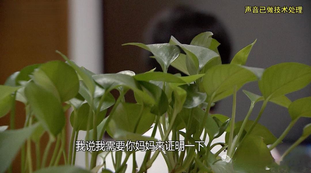 七旬阿姨两月被骗近1400万傻+贪，毁了安稳晚年上海七旬独居的孙阿姨这辈子本本分