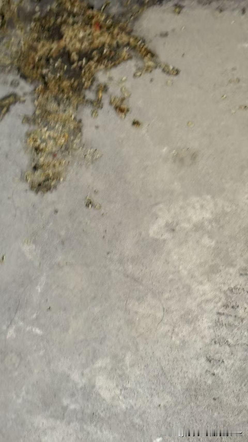 今天是金碧物业走后的第110天，大明物业的第18天。

你最讨厌看到的是什么？我