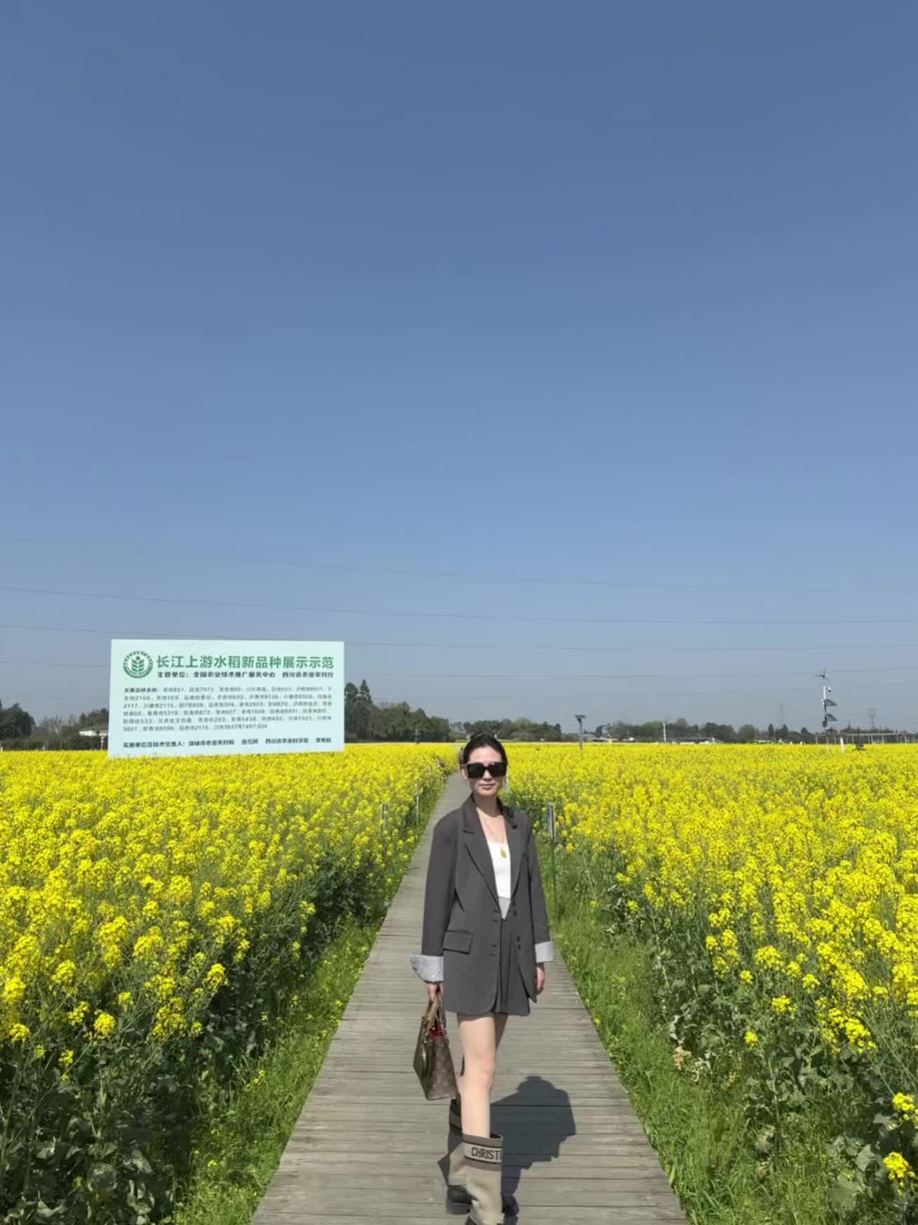 城北的花开了几个冬夏 城南的你还好吗