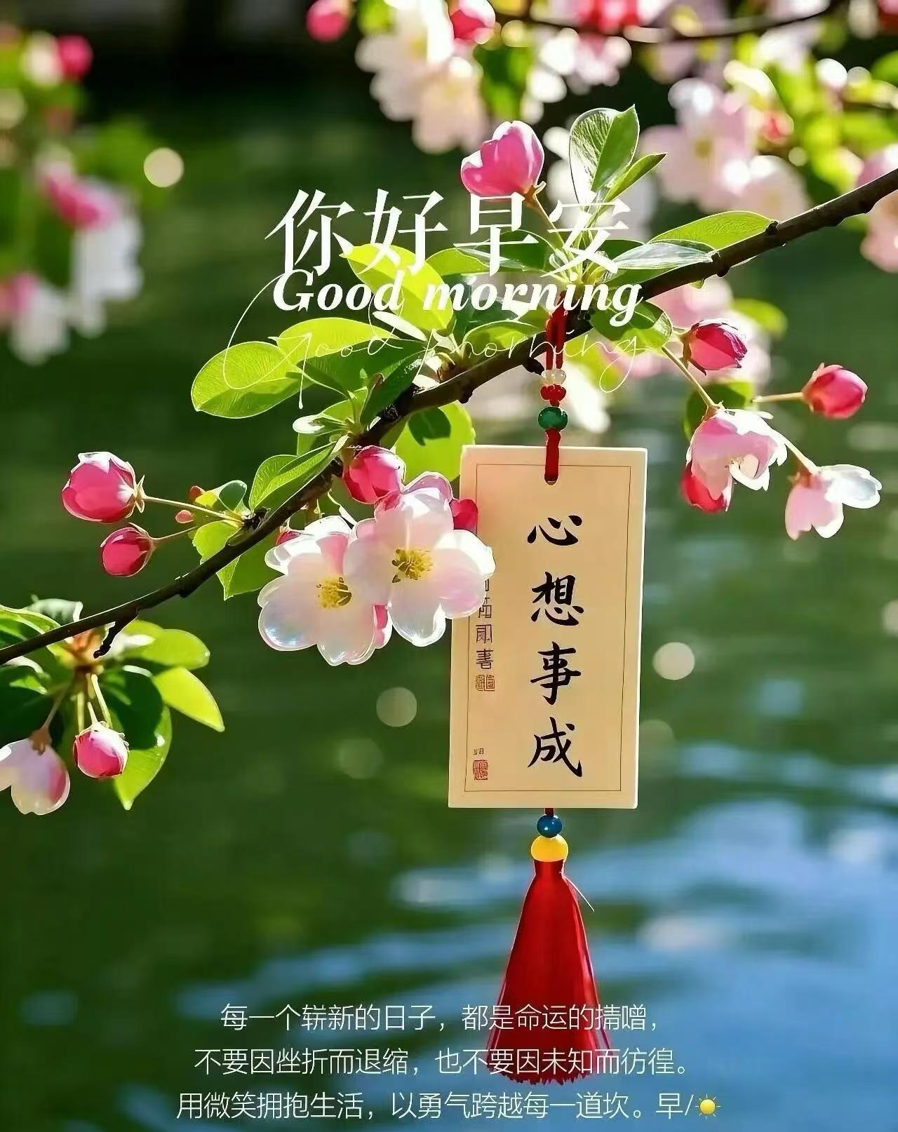 人和人之间最舒服的关系，就是我盼你好，你盼我好，彼此照亮，互不消耗，人生最珍贵的