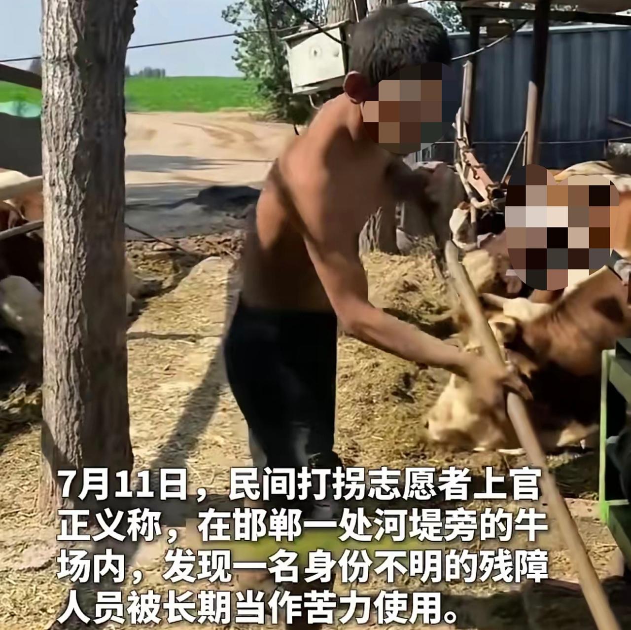 【邯郸牛场被曝长期雇佣残障人员做苦力，周兆成：收留流浪残障者不报、无偿劳作，涉嫌