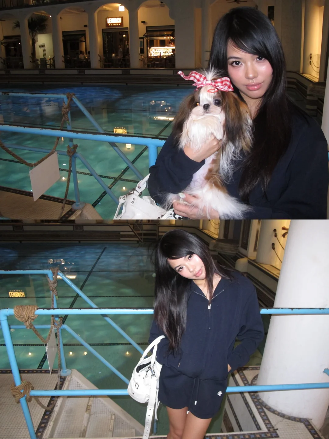 逛书店误入动物世界