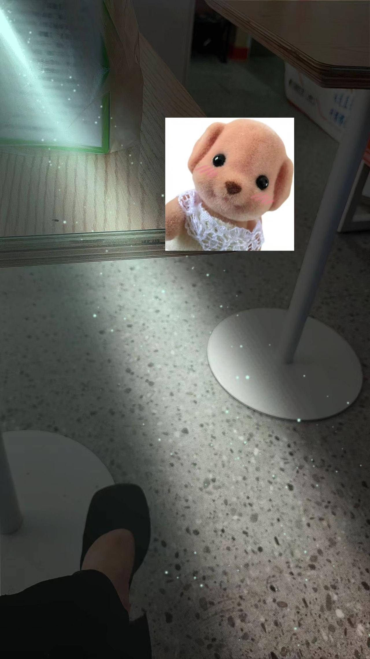 见过为我低头的男人 也见过一心想把我毁掉的男人 所以后来我没有跟谁谈 甚至对聊天