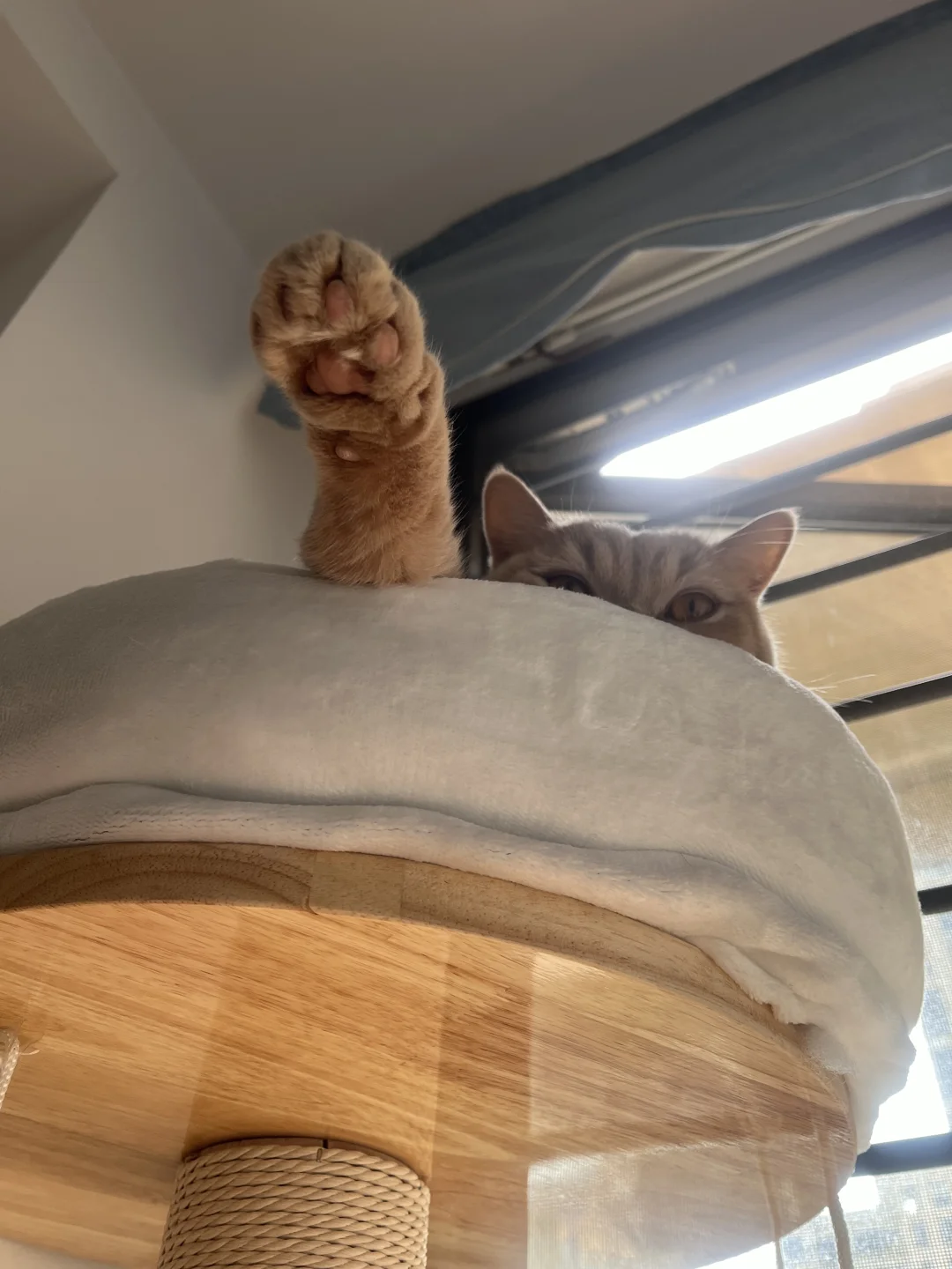 人，你可以闻我的脚底板