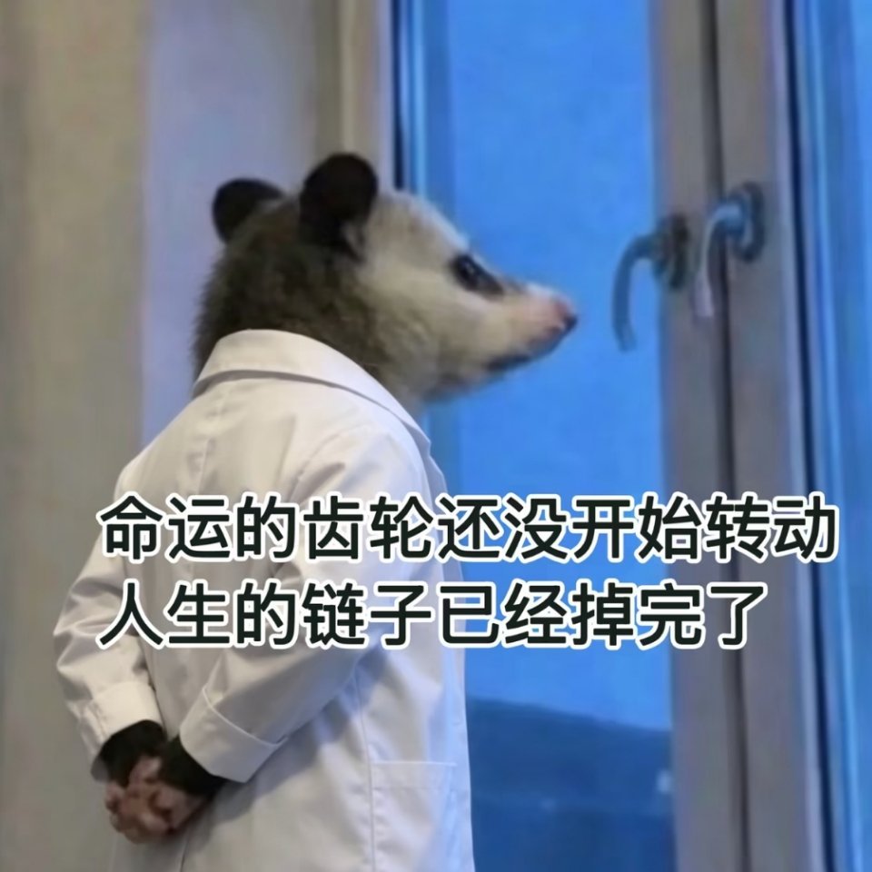 客妹两天没回我，还发动态，心情be like 