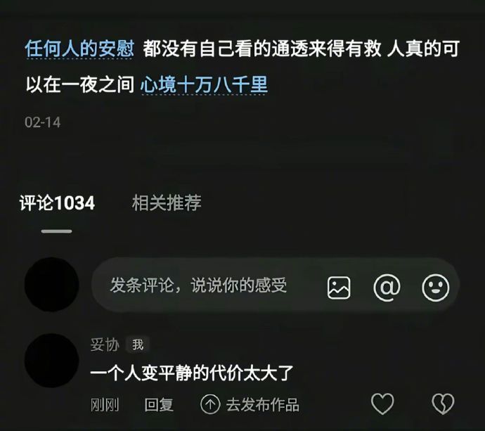 一个人变平静的代价太大了 